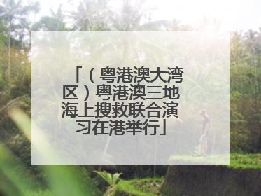 （粤港澳大湾区）粤港澳三地海上搜救联合演习在港举行